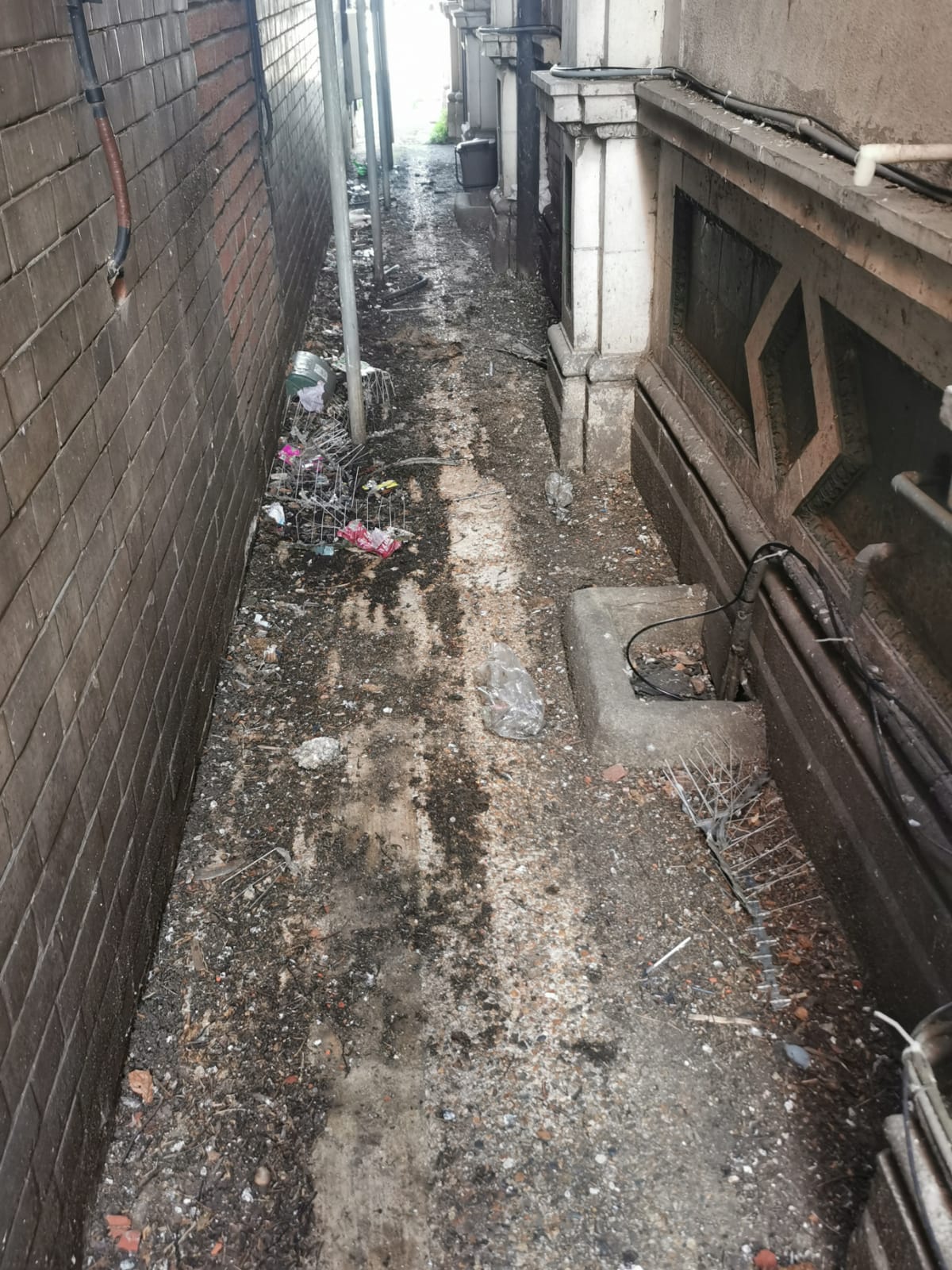 A narrow alley between buildings fouled with pigeon droppings and debris