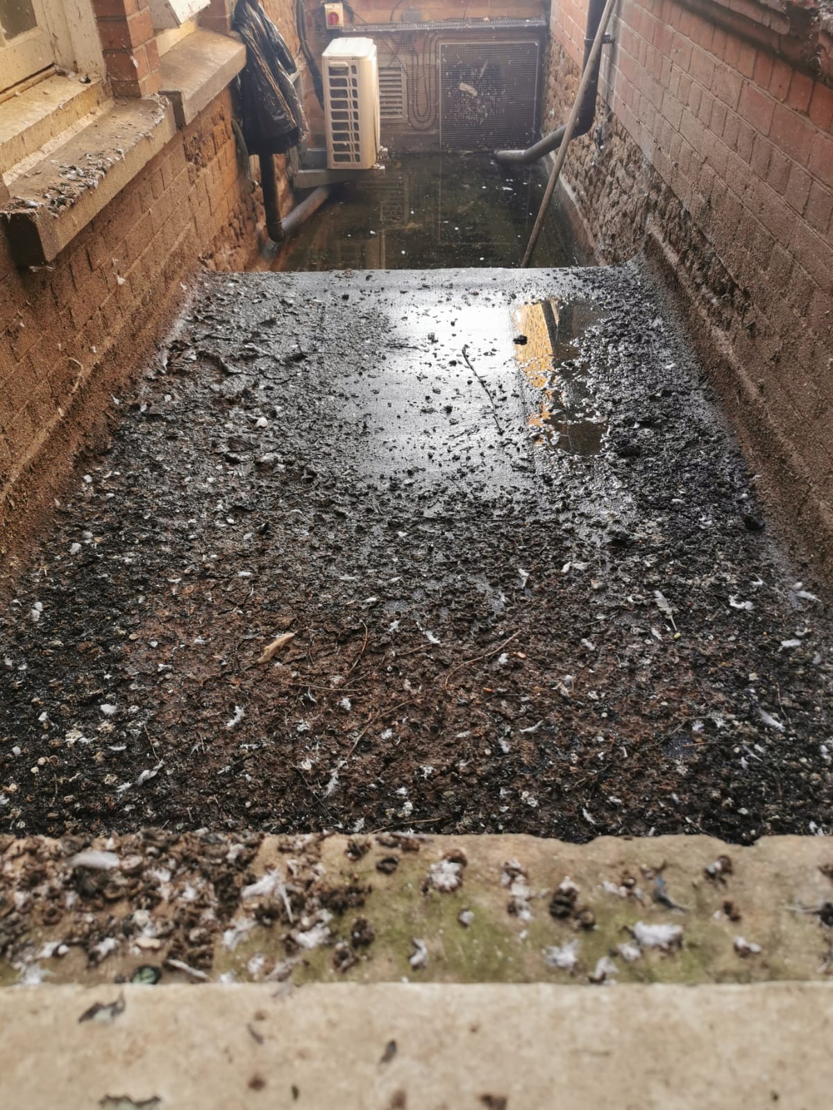 A light well floor covered in guano and feathers