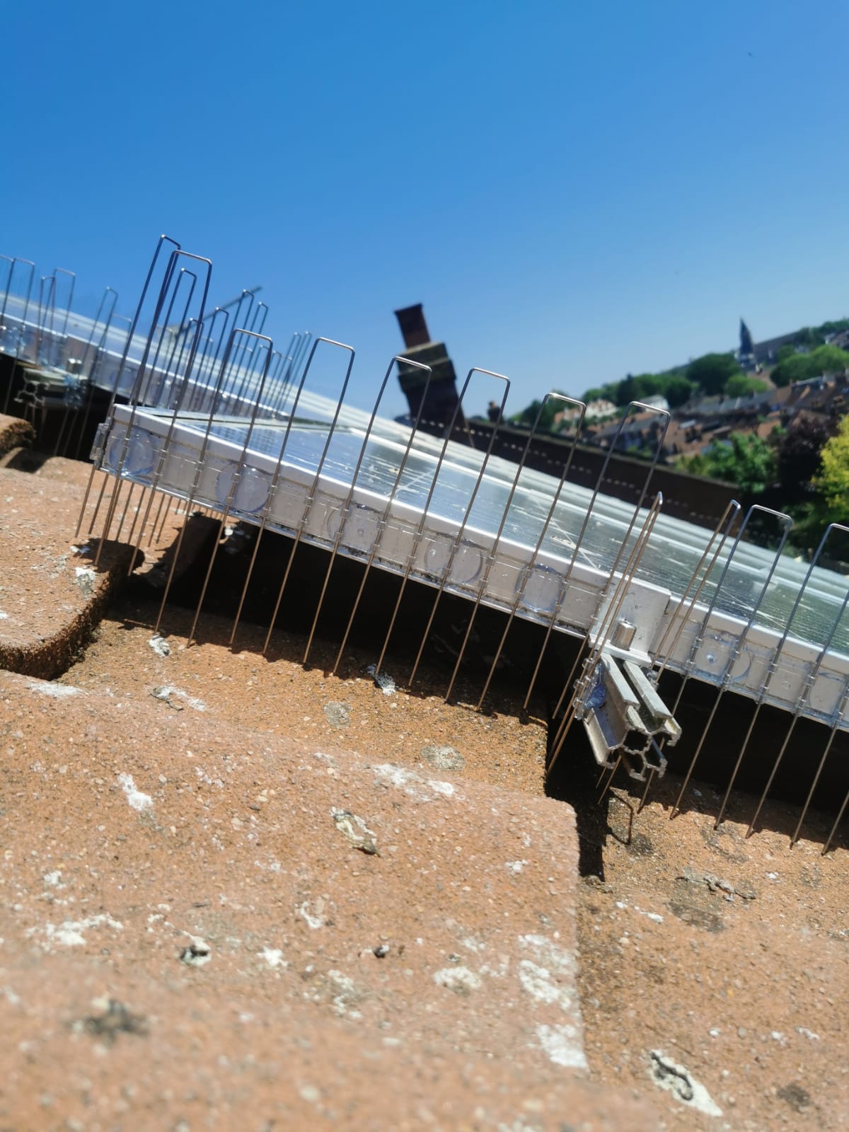Bird spikes fitted along a rooftop ledge under a blue sky